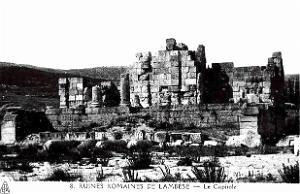 ALGERIE-RUINES ROMAINES DE LAMBESE (40)
